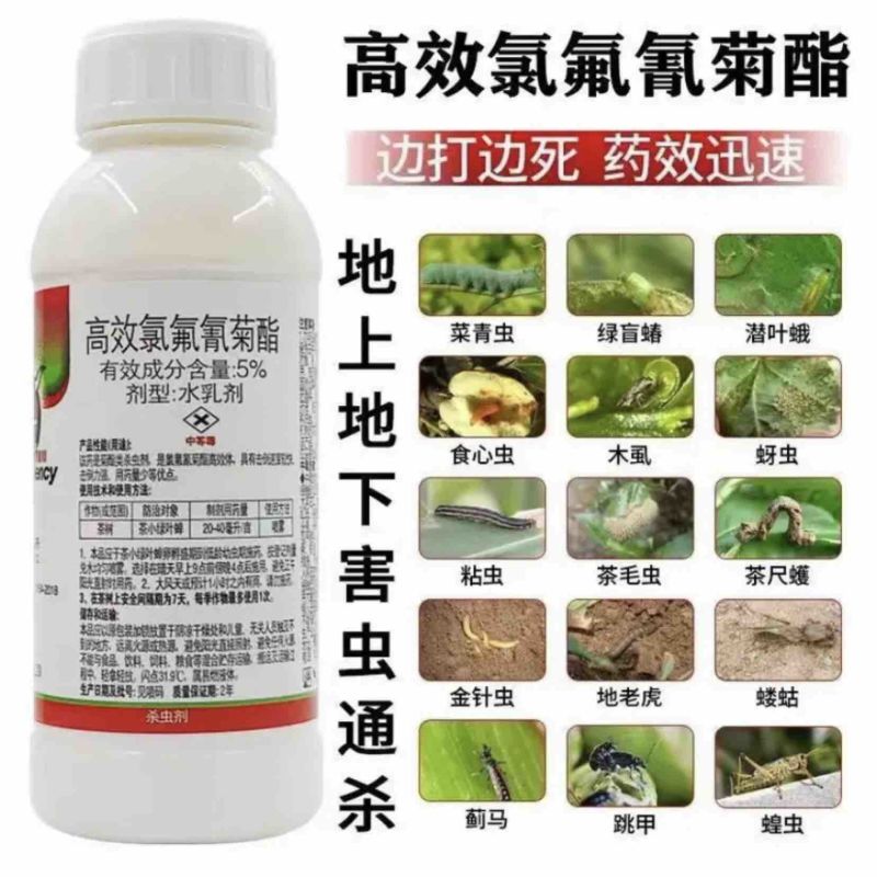 5%高效氯氟氰菊酯菜青虫蚜虫棉铃虫价廉