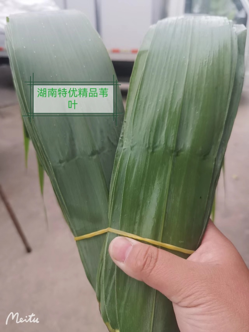 集江南特优精品苇叶于太行农贸市场，海量供应各地销售商！！