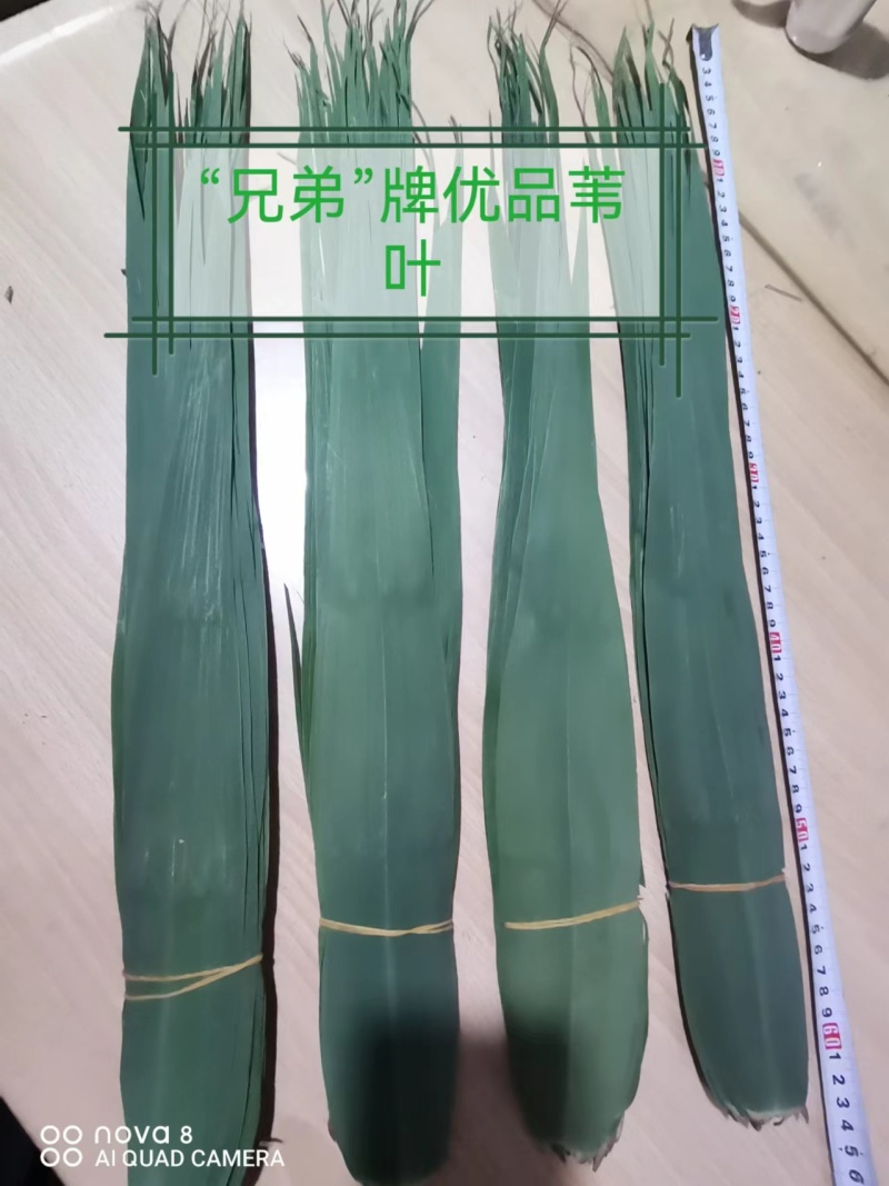 集江南特优精品苇叶于太行农贸市场，海量供应各地销售商！！