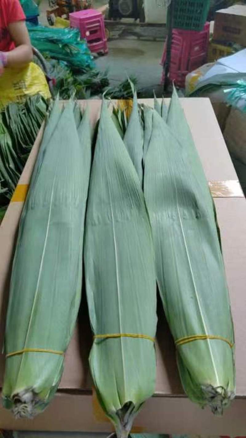集江南特优精品苇叶于太行农贸市场，海量供应各地销售商！！