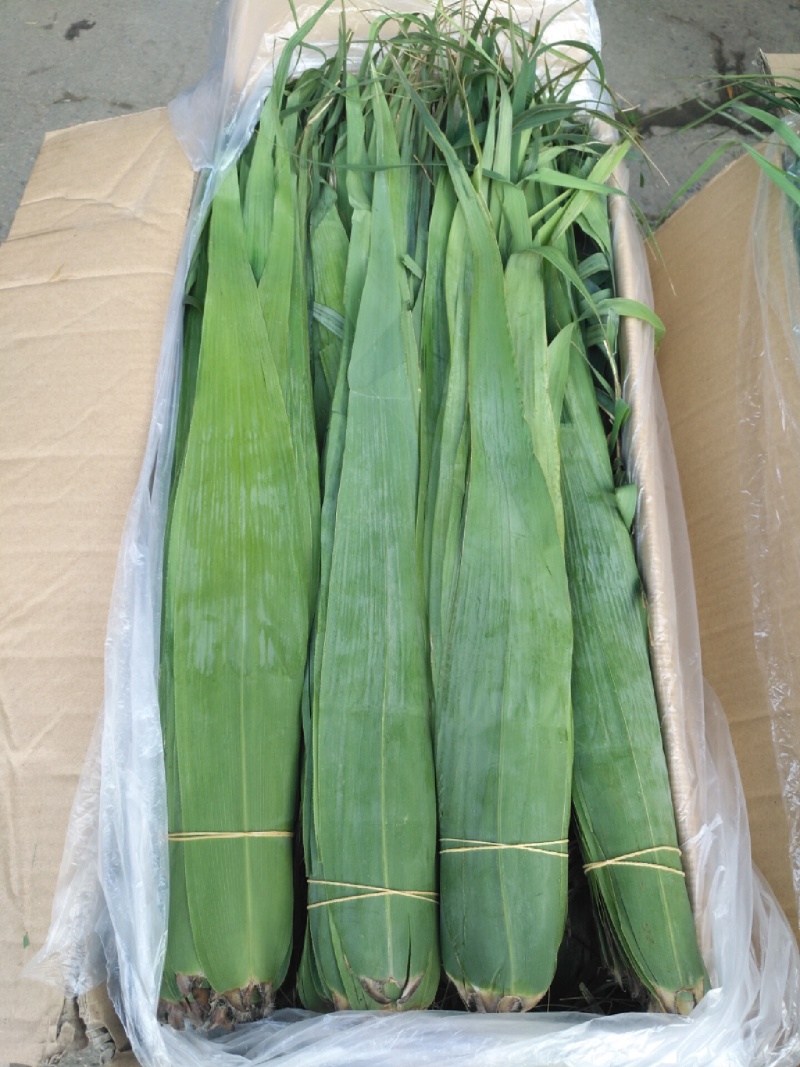 集江南特优精品苇叶于太行农贸市场，海量供应各地销售商！！