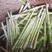 竹笋，可代收，每天保供10吨。量大联系