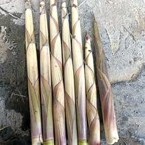 竹笋，可代收，每天保供10吨。量大