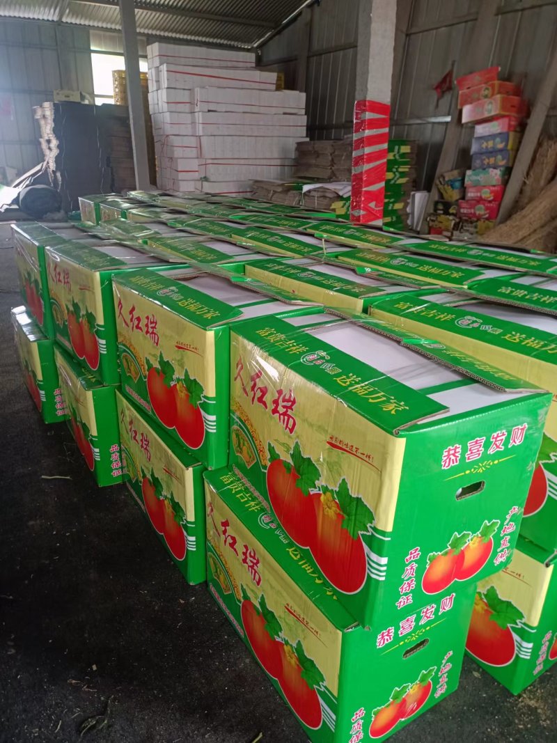 久红瑞黄皮甜瓜大量上市中个头大颜色好口感好超甜种植产地