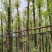 金丝楠木基地直销规格齐全欢迎老板来电咨询合作