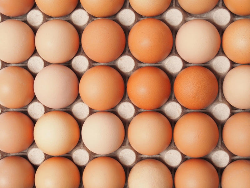 精品鸡蛋红蛋白蛋粉蛋