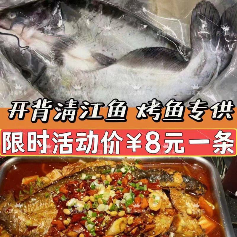 开背清江鱼，宰杀干净发货，量大从优