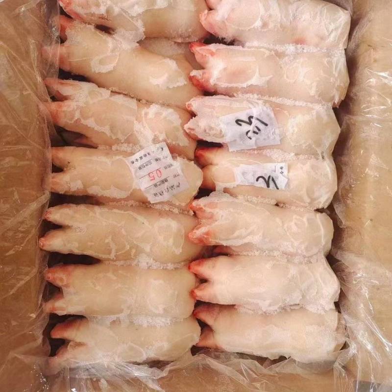 猪蹄
