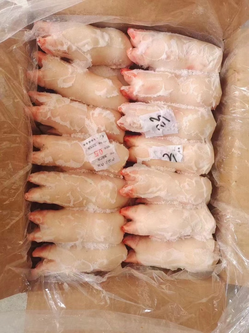 猪蹄