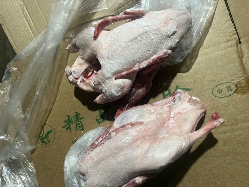 大三花品种，白条鹅不良鹅随机发货，一箱净重38斤