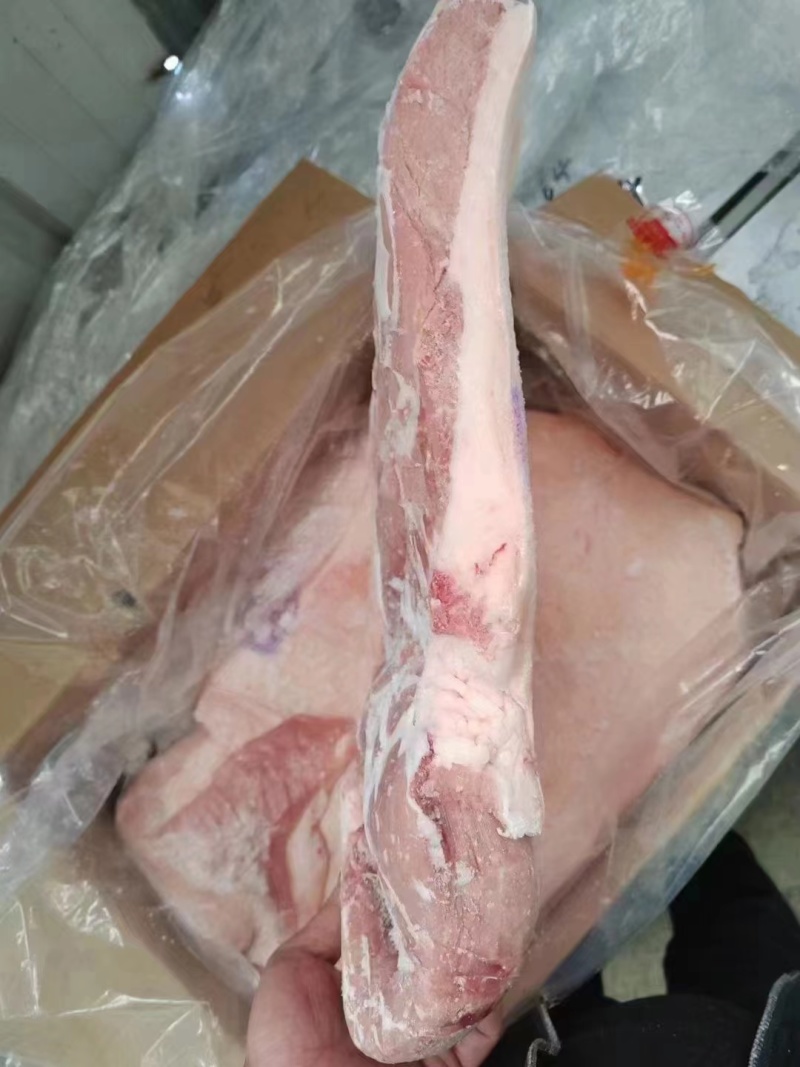 肥猪前上肉