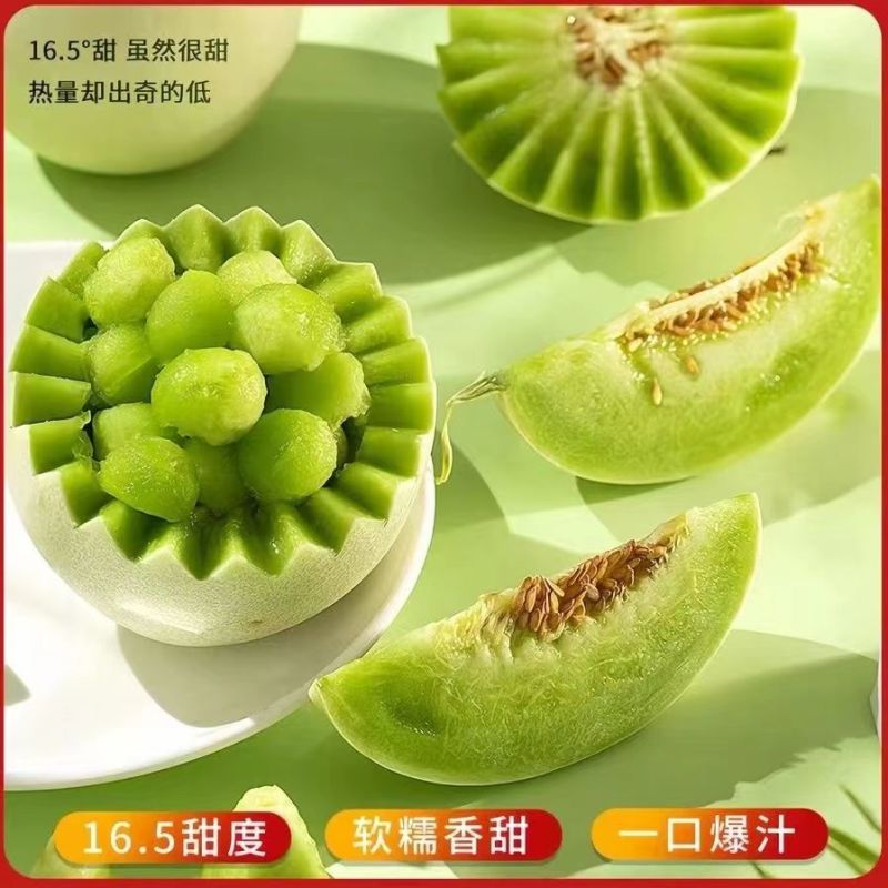 【精品】玉菇甜瓜香瓜糖度高专业供应量大从优