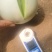 【精品】玉菇甜瓜香瓜糖度高专业供应量大从优