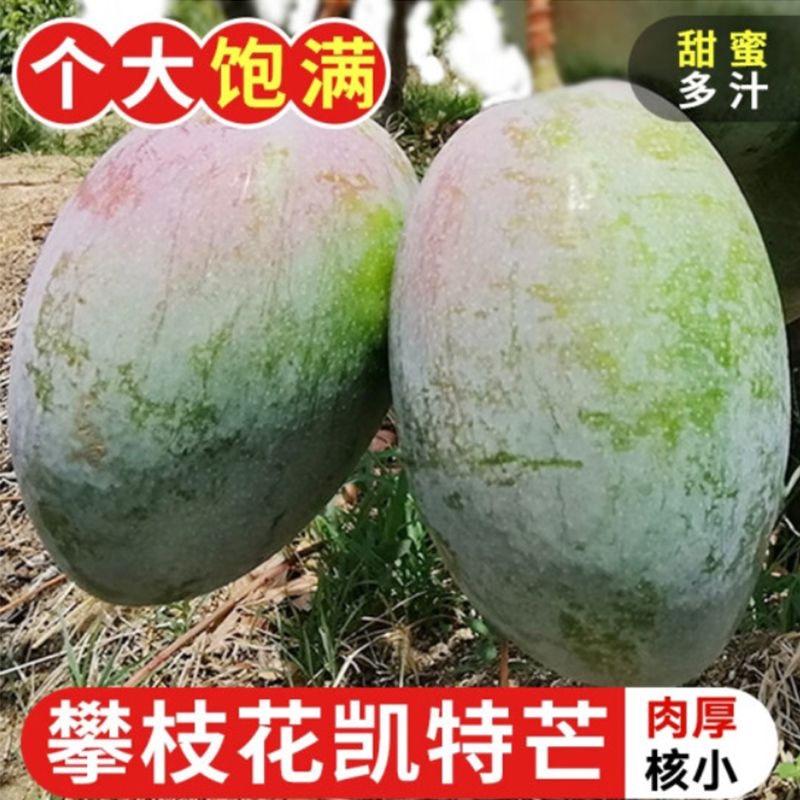 攀枝花各种芒果实力供应链支持各大平台老板对接一件代发