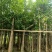 水翁基地直销规格齐全欢迎老板来电咨询合作