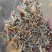 花生秧草料