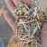 花生秧草料