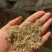花生秧草料