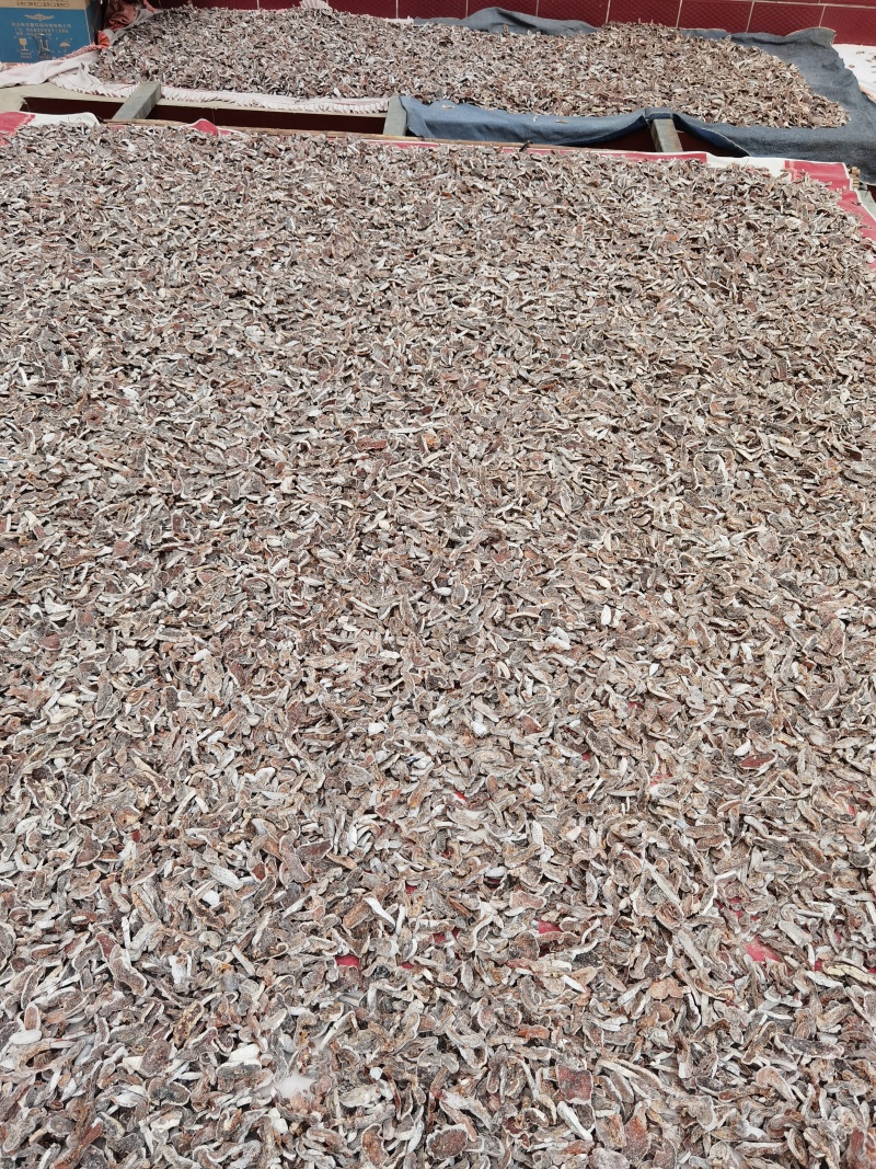 出售柿饼片，白霜柿饼片，都是晒干货！