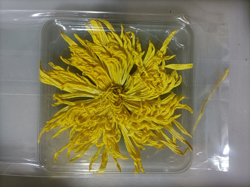 金丝皇菊干花（6公分）1朵