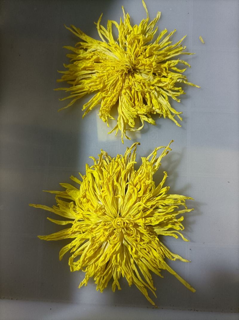 金丝皇菊干花（6公分）1朵