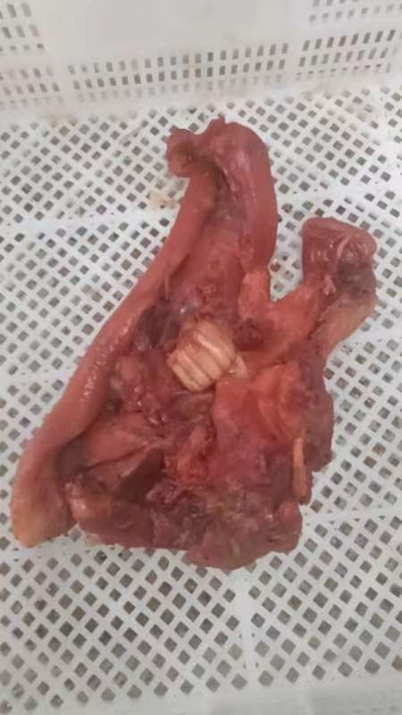 泡椒猪头肉