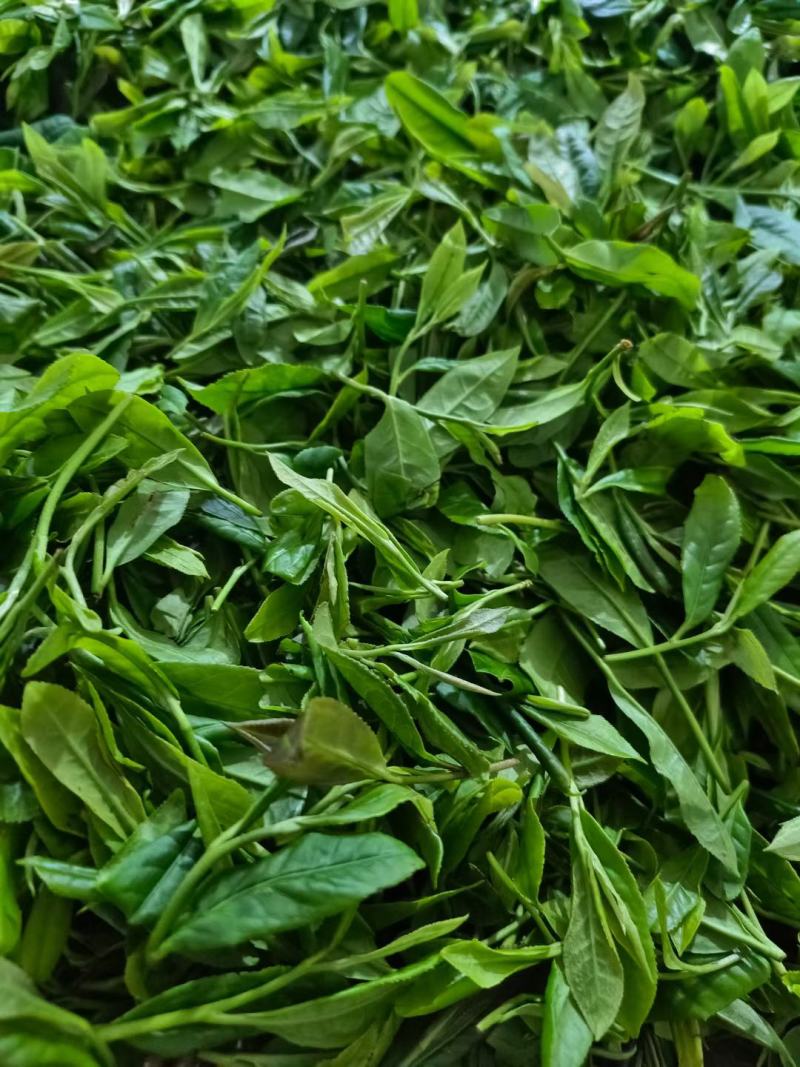 修水红茶