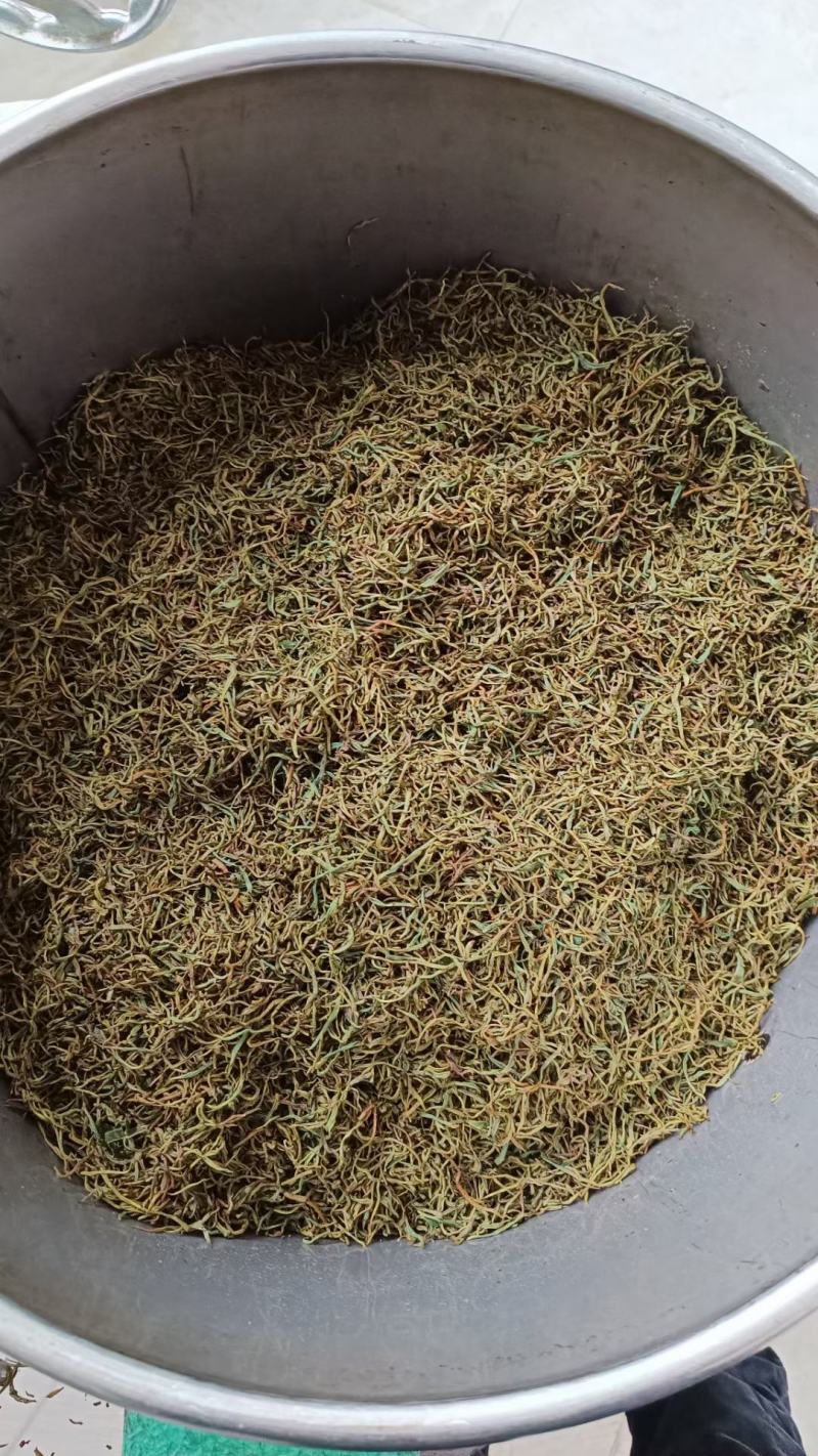 修水红茶