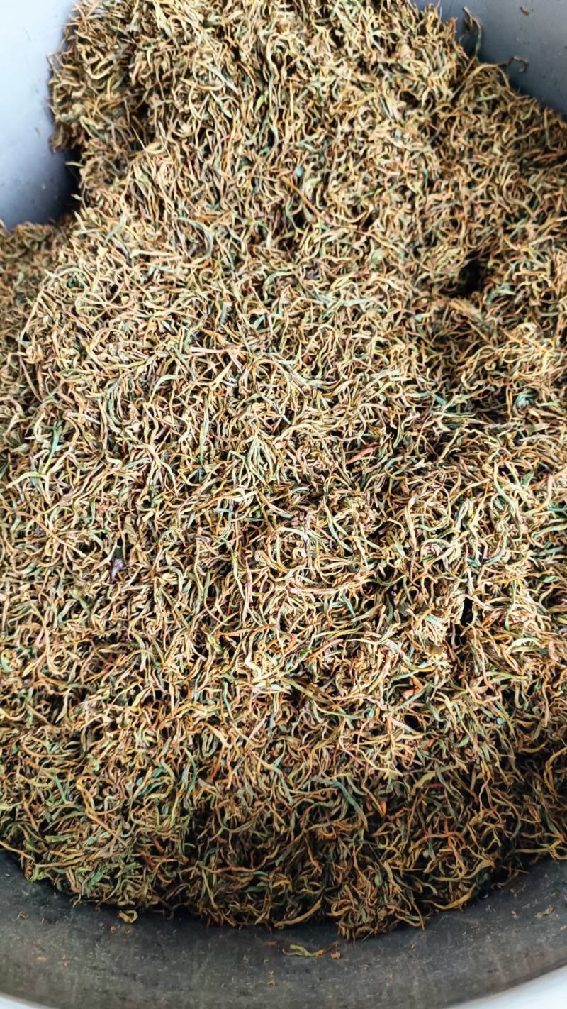 修水红茶
