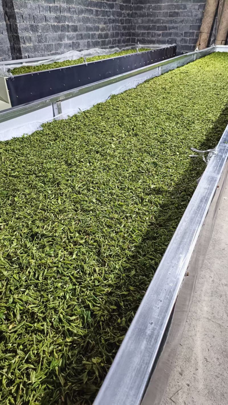 修水红茶