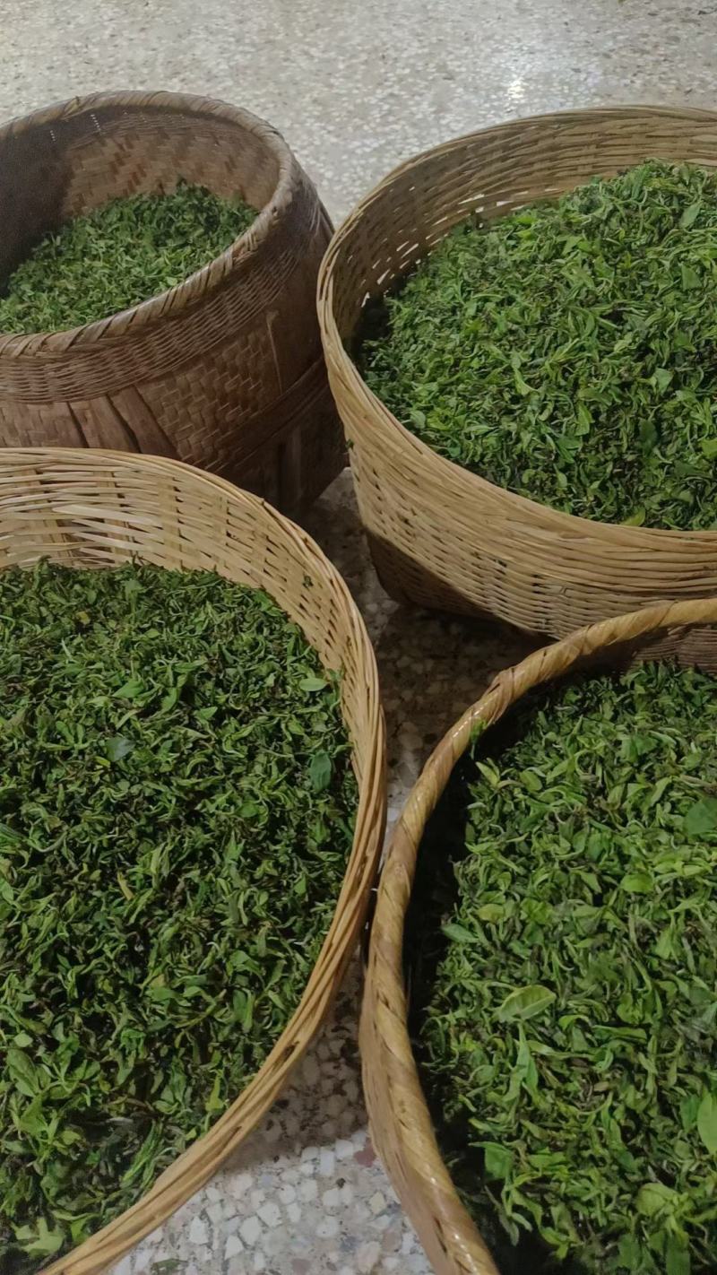 修水绿茶
