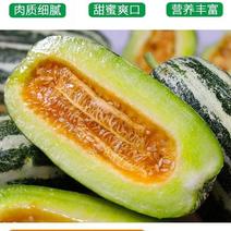 【优选】陕西博洋9号甜瓜大量上市，万亩产地直供，质量保证