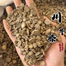 川牛膝正品川牛膝非怀牛膝实拍过筛货