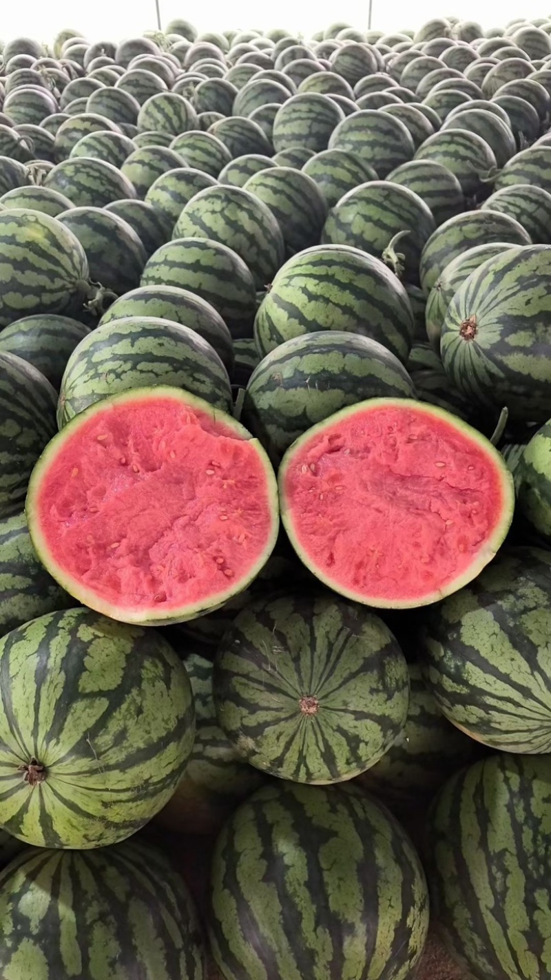 夏邑美都西瓜大量上市小薄皮大红瓤保质保量全国发货