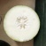 热销河北邯郸黑冬瓜苗广东黑皮冬瓜铁心杂交冬瓜苗蔬菜苗