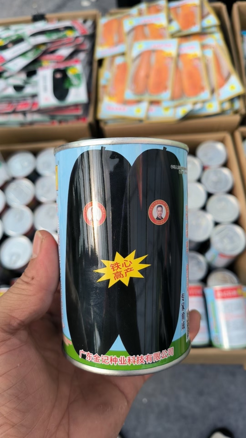 热销河北邯郸黑冬瓜苗广东黑皮冬瓜铁心杂交冬瓜苗蔬菜苗