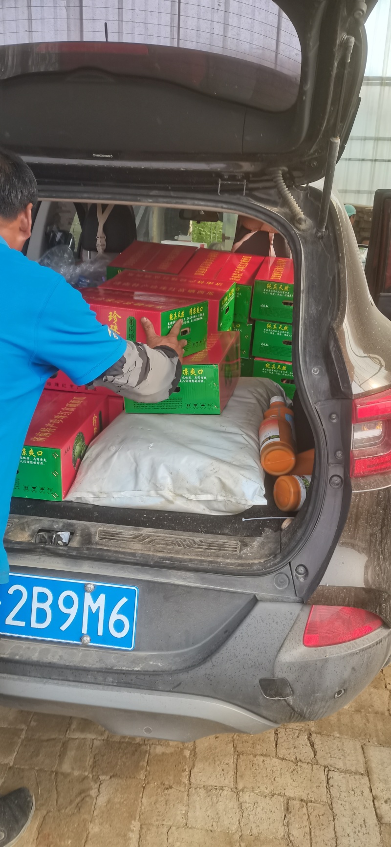 珍珠红礼品西瓜上市，熟度好，糖分高，脆甜可口，馈赠佳品！