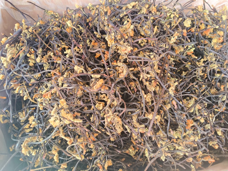 蕨菜干龙瓜菜野生蕨菜腊肉炒菜美味佳肴凉拌脆爽