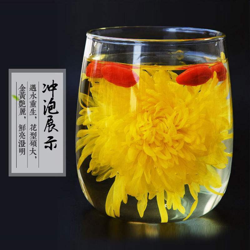 本公司供应金丝皇菊苗北京菊苏北菊杭白菊包技术包上车