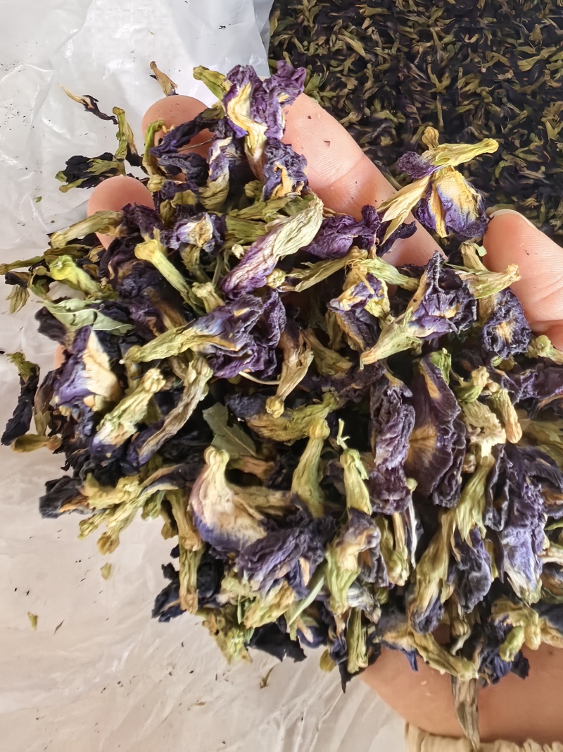 蓝蝴蝶批发蓝蝴蝶蝶豆花产地货源蝶豆花花茶