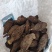 入地老鼠紫茉莉根