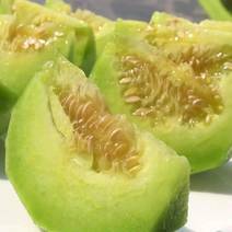 山东潍坊产地供应绿宝甜瓜，个大糖度高品质优需要的。
