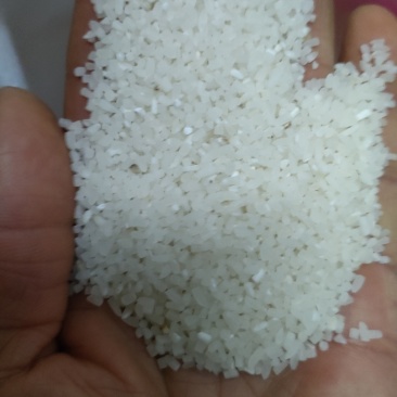 大碎米，现货供应，煮饭，煮粥。软糯香甜，5斤一袋