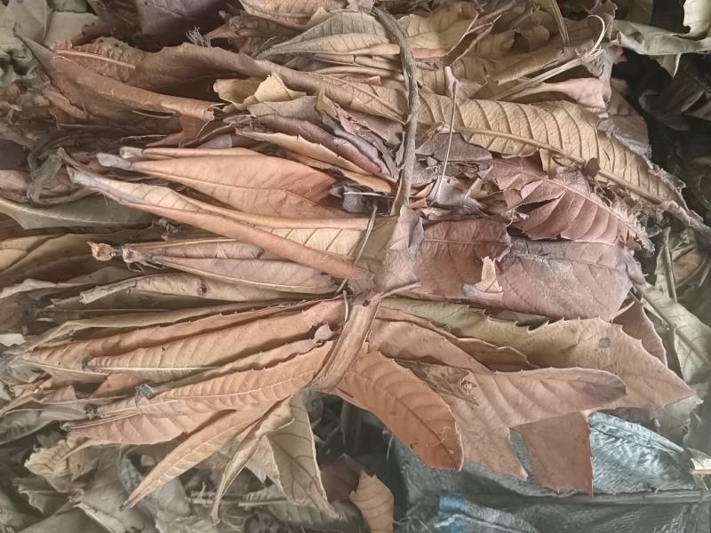 枇杷