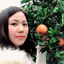 【优选】正宗重庆市奉节脐橙，产地直发货源充足