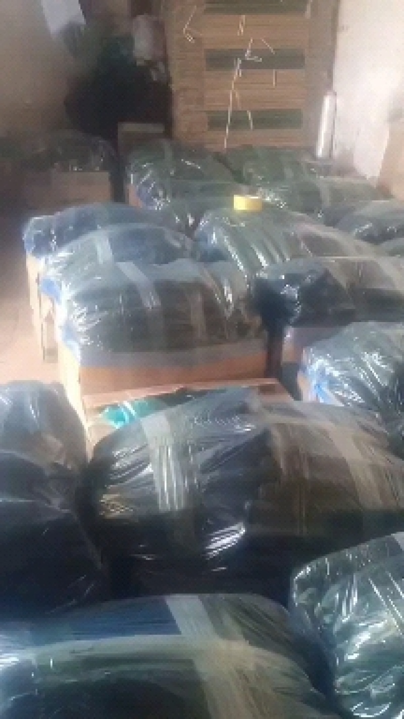 精品大棚密刺黄瓜精品大棚密刺黄瓜精品密刺黄瓜