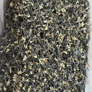 云南野生蕨菜干