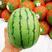 安徽砀山小糖丸西瓜，产地货源，货量充足质量保证，视频看货
