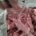 国产纯干多肉龙骨可定制规格全国接单