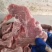 国产纯干多肉龙骨可定制规格全国接单